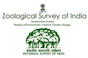 Zoological Survey of India Recruitment 2023