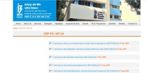 IBPS Final Result 2023 Out