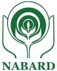NABARD Grade A Result 2023 Out