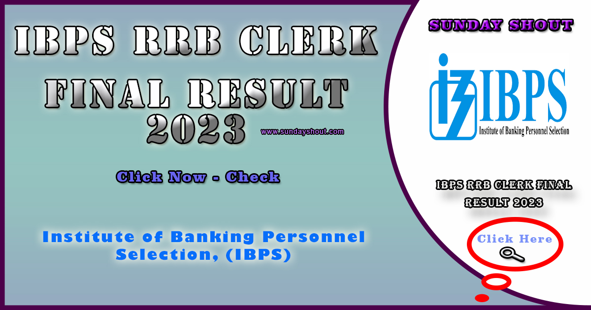 IBPS RRB Clerk Final Result 2023 Notification | Link to the Mains Result Download, More Info Click on Sunday Shout.