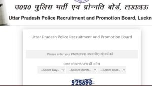 UP Police Computer Operator Recruitment 2024 Out